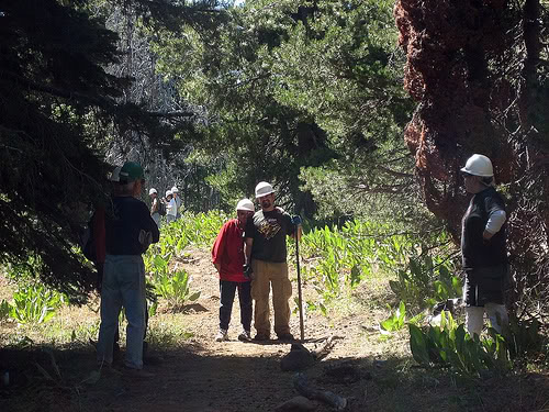  photo 220074632_a78f356337.jpg